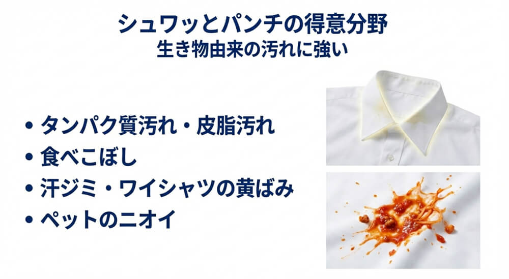 シュワッとパンチの得意分野の画像