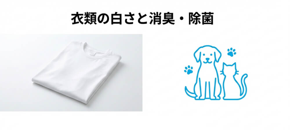 衣類や靴の洗浄力の高さの画像