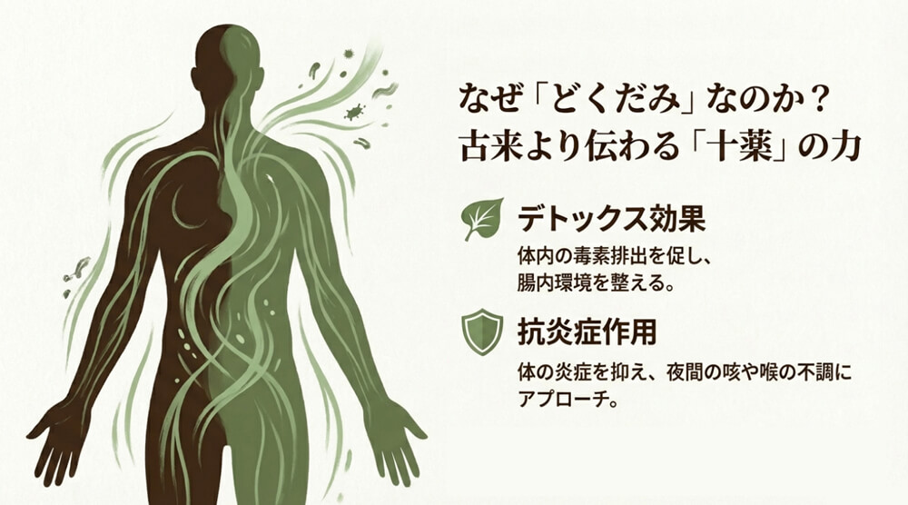 どくだみの持つデトックス効果や抗炎症作用を注目している画像