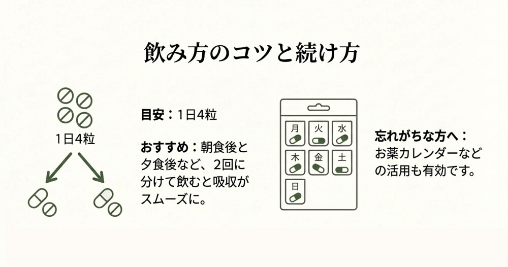 桑の葉&茶カテキンの恵みの効果的な飲むタイミング