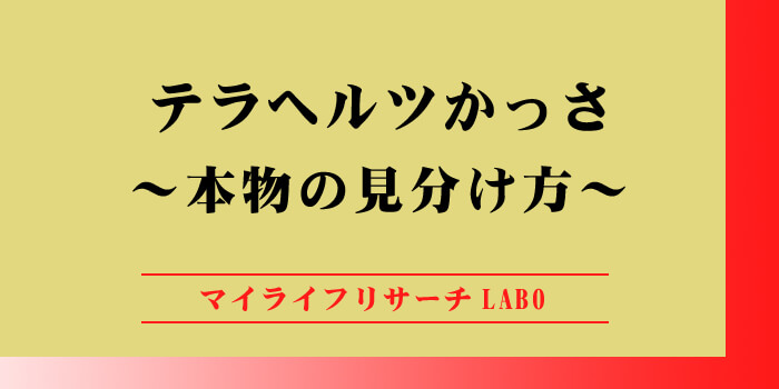 テラヘルツかっさの本物の見分け方のアイキャッチ画像