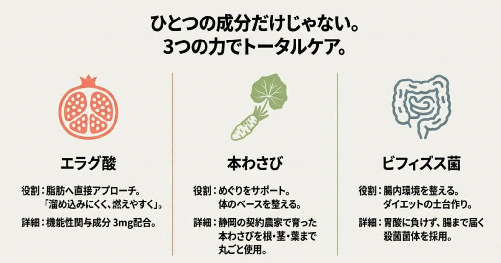 ザクロ、わさび、腸のイラスト。脂肪対策、めぐりサポート、腸活という各成分の役割解説