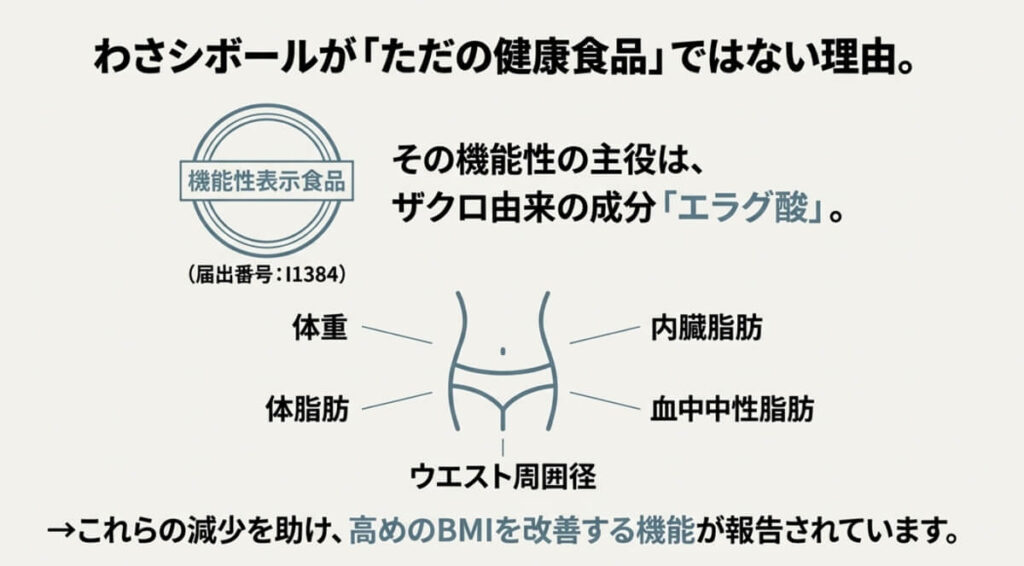 機能性表示食品マークと、体重・内臓脂肪・ウエスト周囲径などの減少を助けるエラグ酸の働き